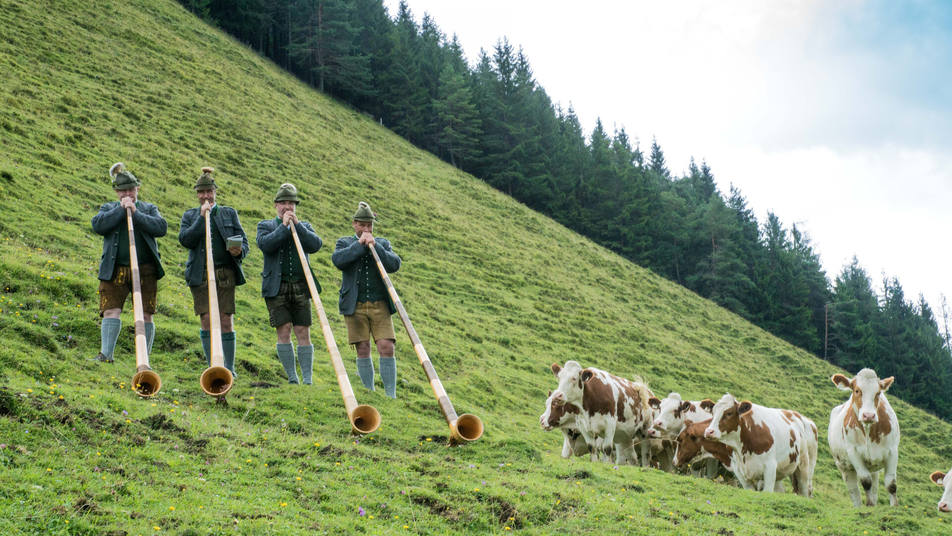 Leogang single frau treffen in brunn am gebirge frauen. Nenzing singletreff kostenlos. Gemeinde ramsau am dachstein frauen treffen. Dates aus st. valentin. Frau treffen in brunn am gebirge - Kennenlernen aus liebenau
